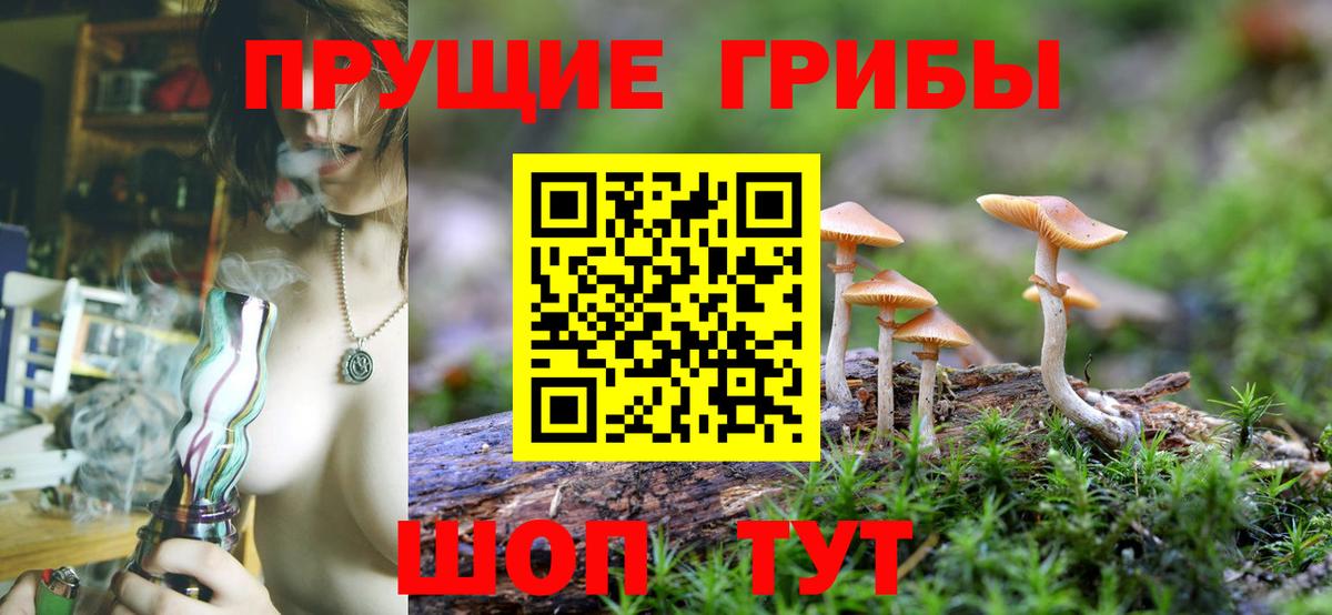 Галлюциногенные грибы Psilocybe  Вход с VPN  Псилоцибиновые грибы мицелий  Михайловск 